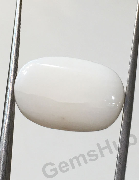 8.06 ct Natural Certified  White Coral/सफ़ेद मूंगा